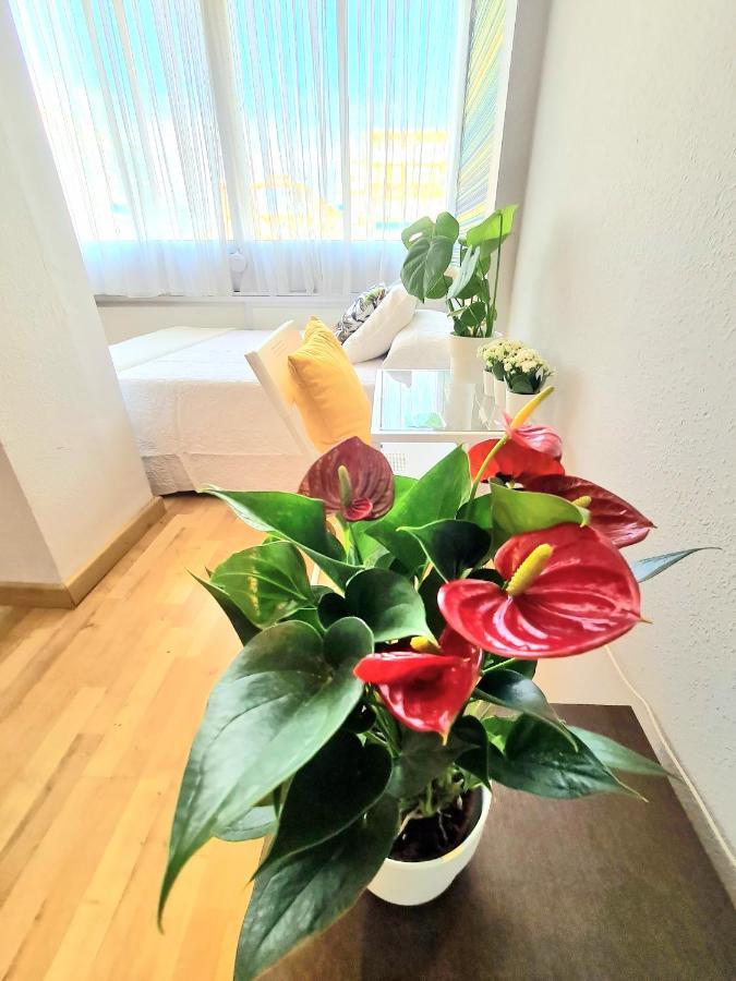 Aa Guest - El Mono De Torre Del Mar Eco Apartment Eksteriør bilde